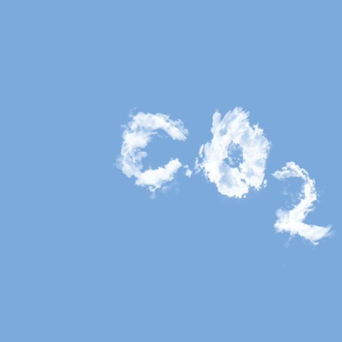 Five misleading assumptions about addressing carbon emissions