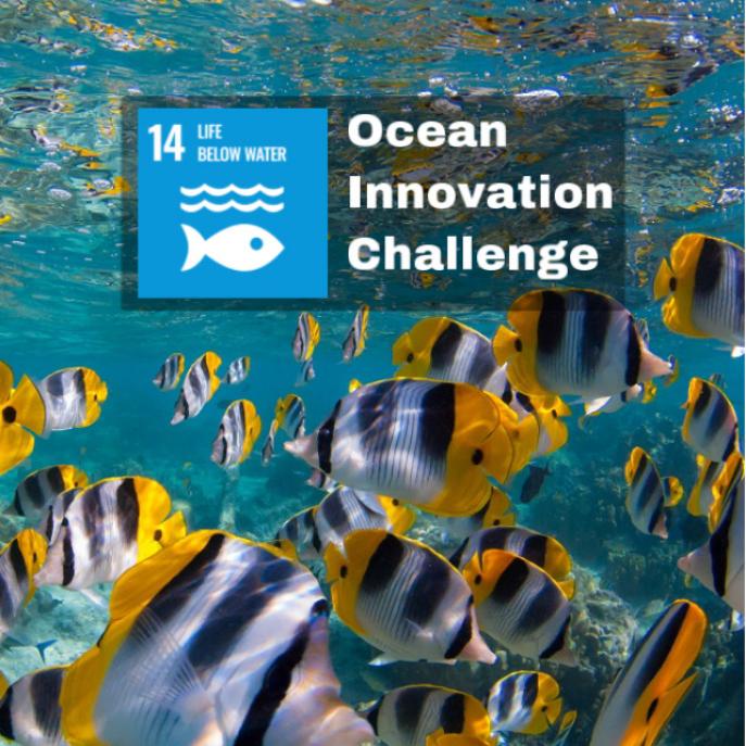 UNDP launches new Ocean Innovation Challenge