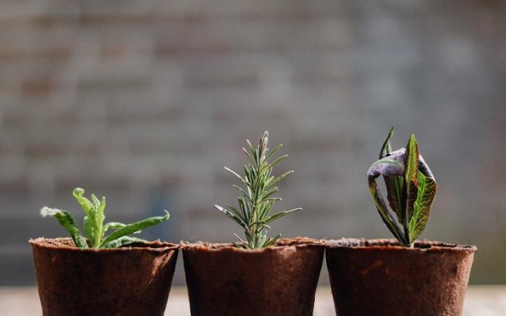 Piloting innovative sustainability ideas for increased adaptability, relentlessly