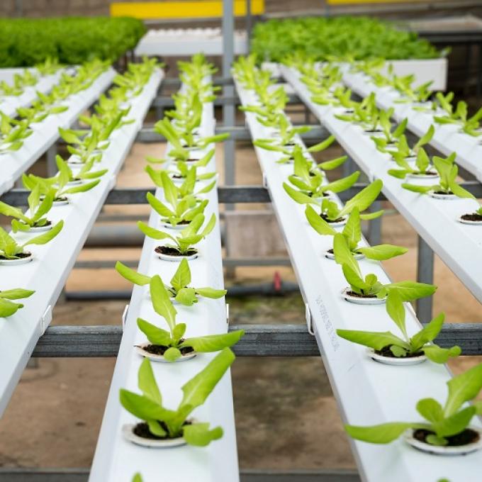 EU Carbon Farming initiatives aim to fight climate change 
