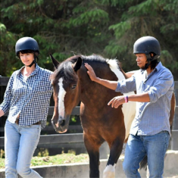 Inspiring leaders with horse-assisted training