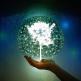 Startup fills climate data gap with AI intelligence to boost decarbonisation