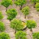 The secret ingredient for sustainable cities beneath our feet