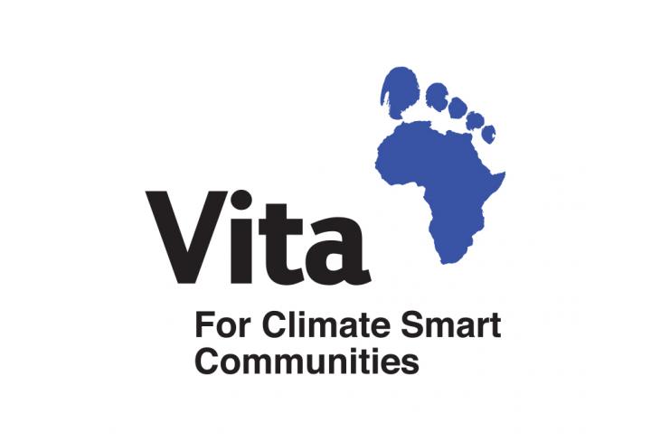VITA Ireland logo